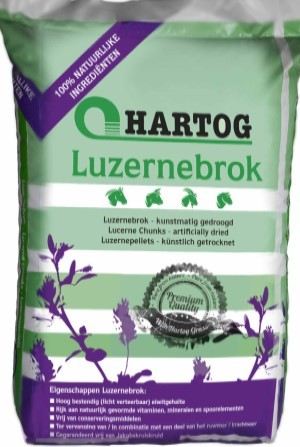 Hartog Lucernebrok